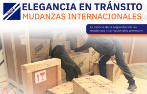 LA CIENCIA DE LA SEGURIDAD EN LAS MUDANZAS INTERNACIONALES PREMIUM